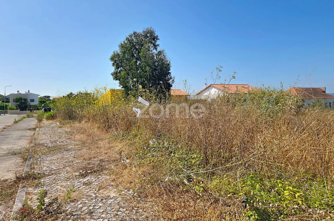 Terreno para Venda em Lavos Foto 17