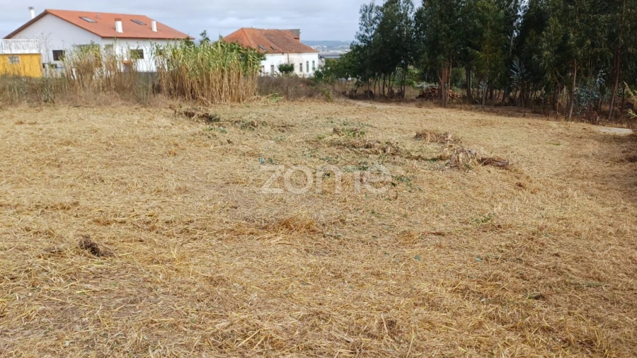 Terreno para Venda em Lavos