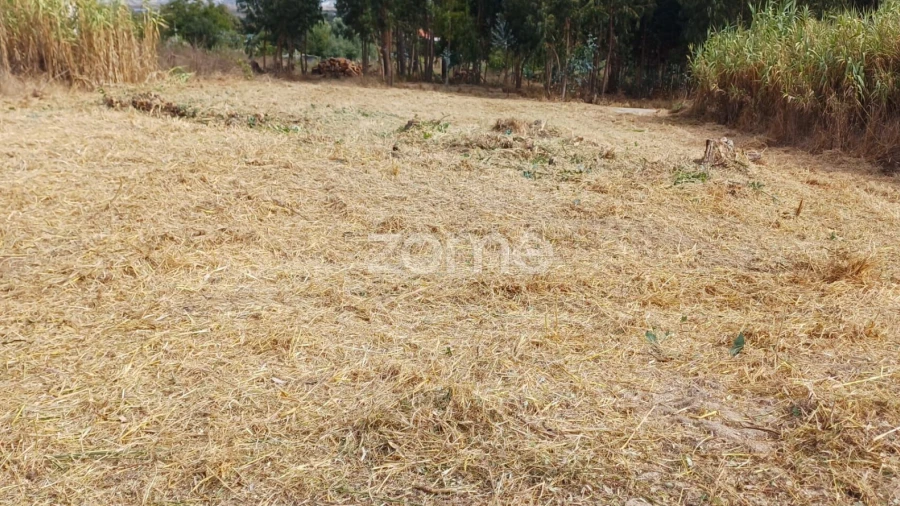 Terreno para Venda em Lavos