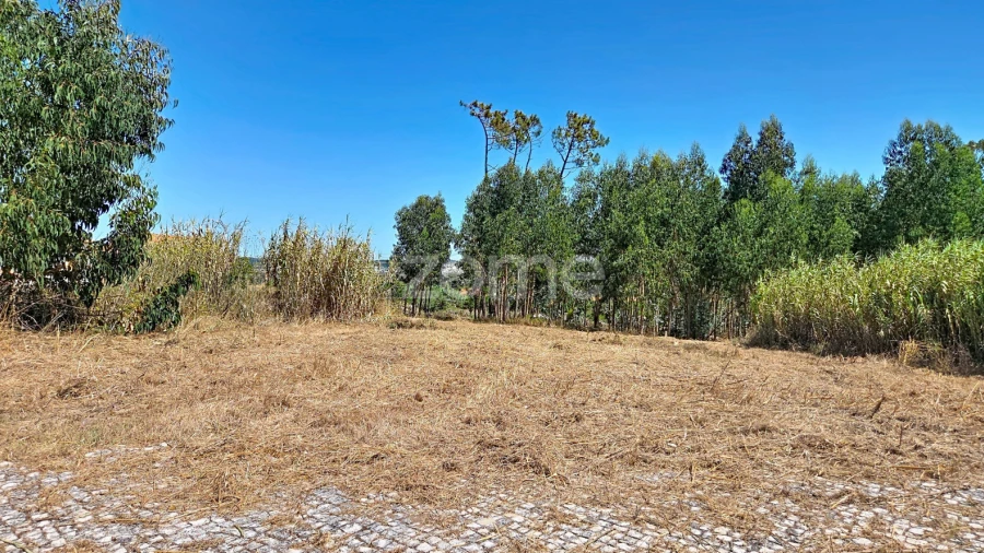 Terreno para Venda em Lavos