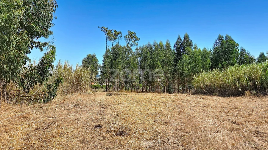 Terreno para Venda em Lavos