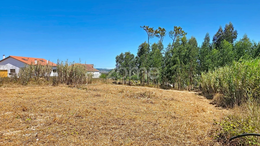 Terreno para Venda em Lavos
