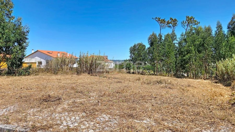 Terreno para Venda em Lavos