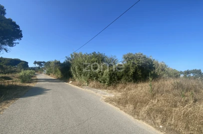 Terreno para Venda em Tavarede