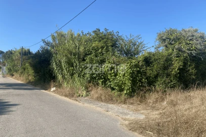 Terreno para Venda em Tavarede