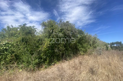 Terreno para Venda em Tavarede