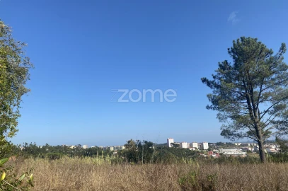 Terreno para Venda em Tavarede