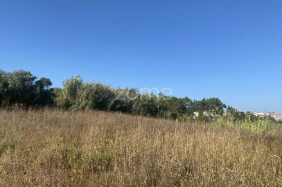 Terreno para Venda em Tavarede