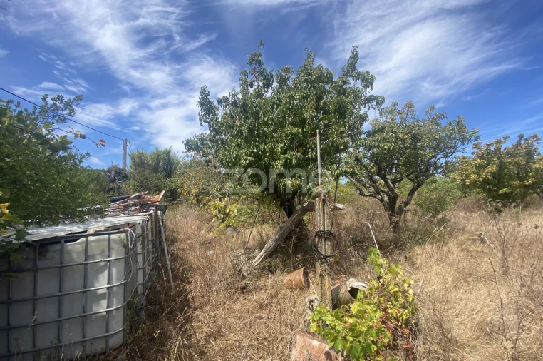 Terreno para Venda em Tavarede Foto 2