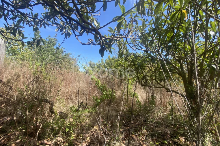 Terreno para Venda em Tavarede Foto 3