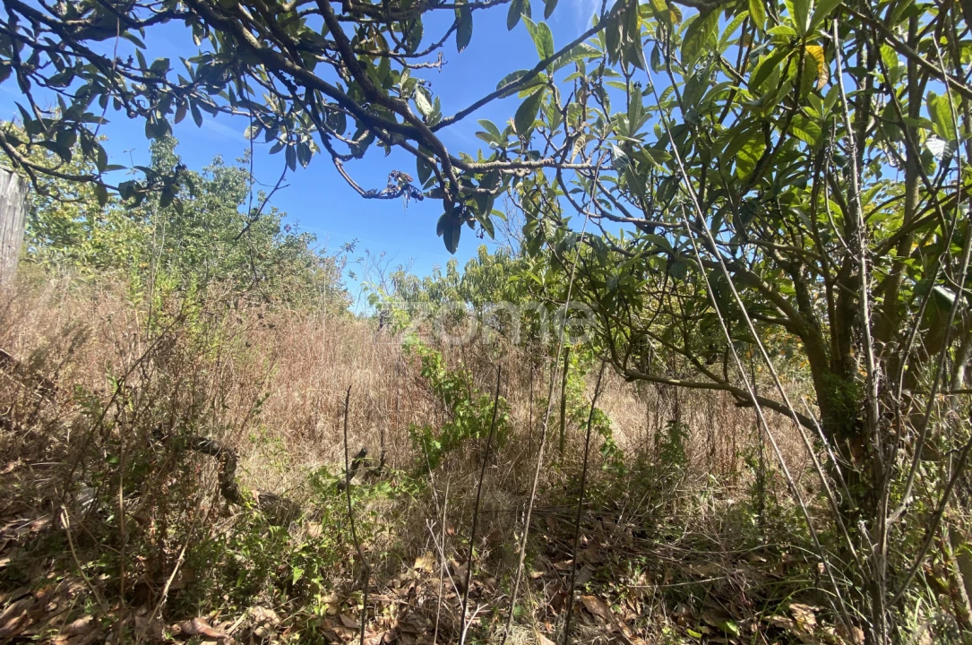 Terreno para Venda em Tavarede Foto 3