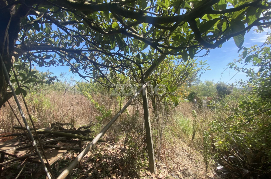 Terreno para Venda em Tavarede Foto 5