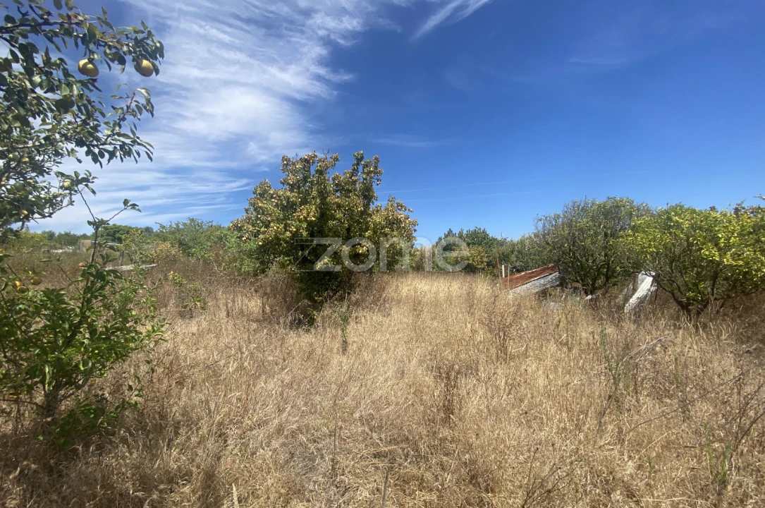 Terreno para Venda em Tavarede Foto 6