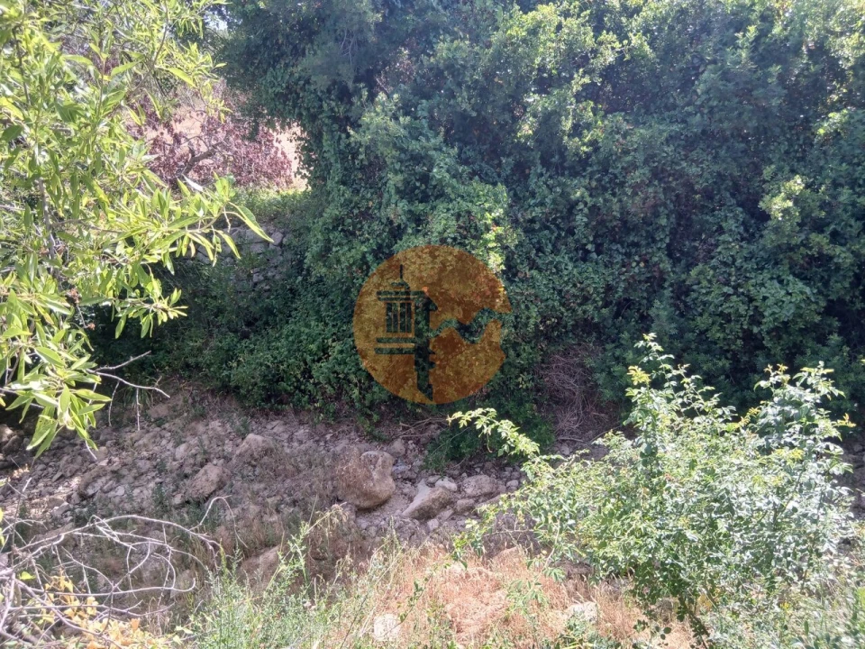Moradia T0 para Venda em Moncarapacho e Fuseta Foto 3