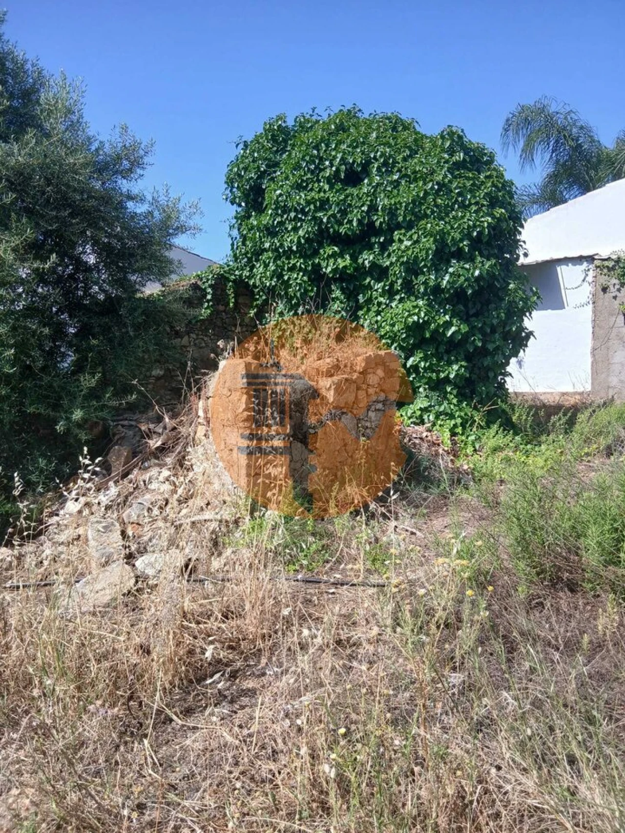 Moradia T0 para Venda em Moncarapacho e Fuseta Foto 9