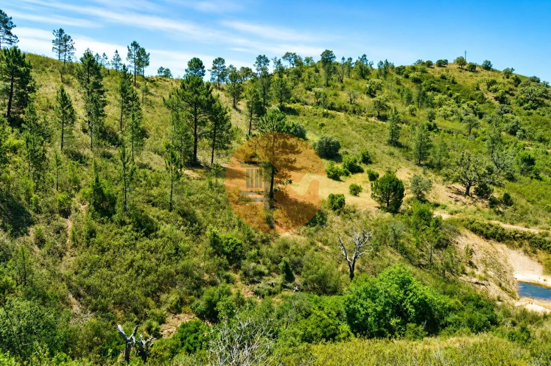 Terreno para Venda em Santa Catarina da Fonte do Bispo Foto 3