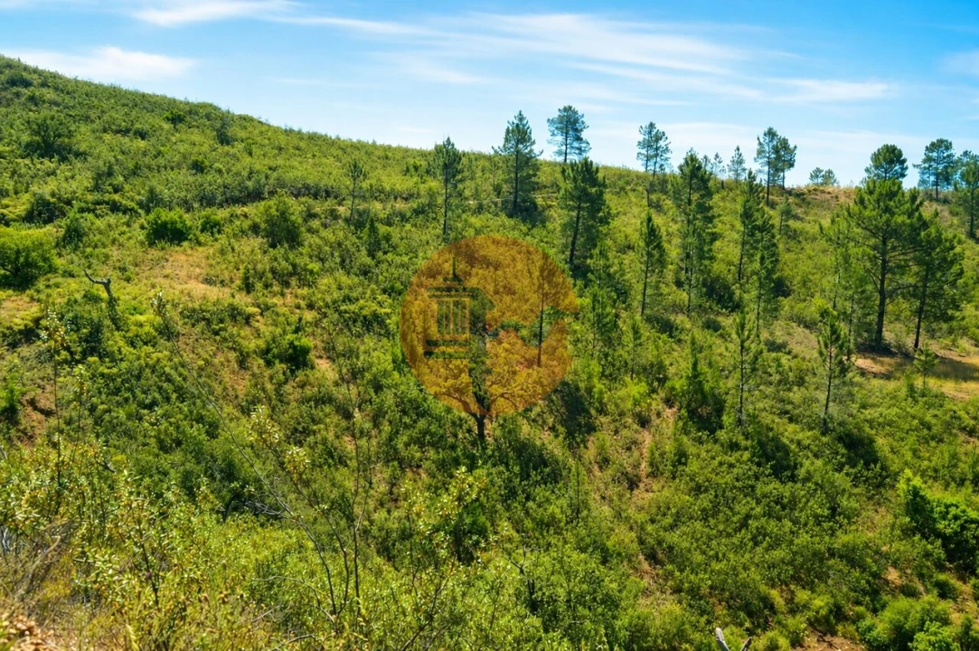 Terreno para Venda em Santa Catarina da Fonte do Bispo Foto 4
