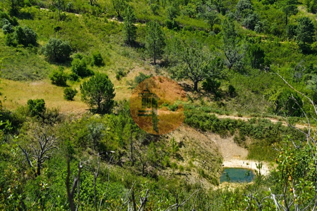 Terreno para Venda em Santa Catarina da Fonte do Bispo Foto 6