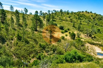 Terreno para Venda em Santa Catarina da Fonte do Bispo