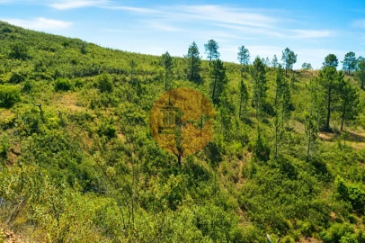Terreno para Venda em Santa Catarina da Fonte do Bispo