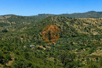 Terreno para Venda em Santa Catarina da Fonte do Bispo