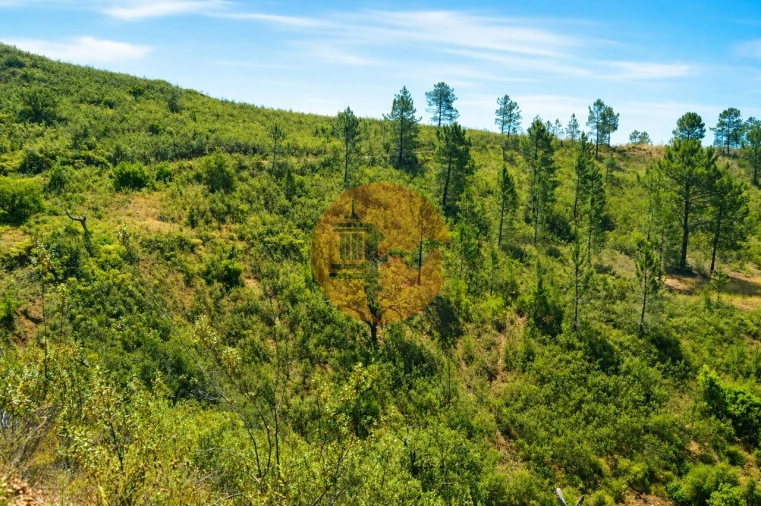 Terreno para Venda em Santa Catarina da Fonte do Bispo Foto 4