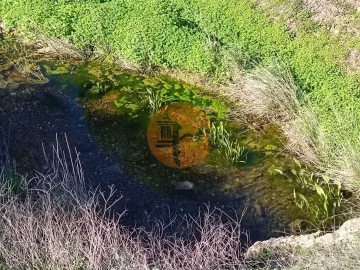Terreno para Venda em Castro Marim