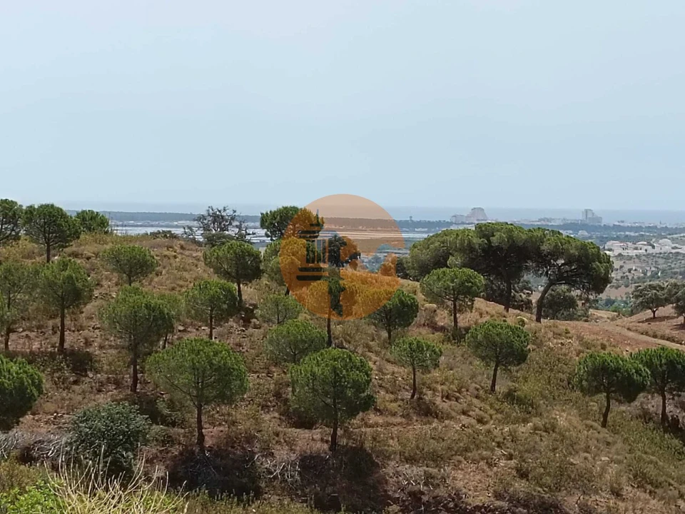 Terreno para Venda em Castro Marim Foto 12