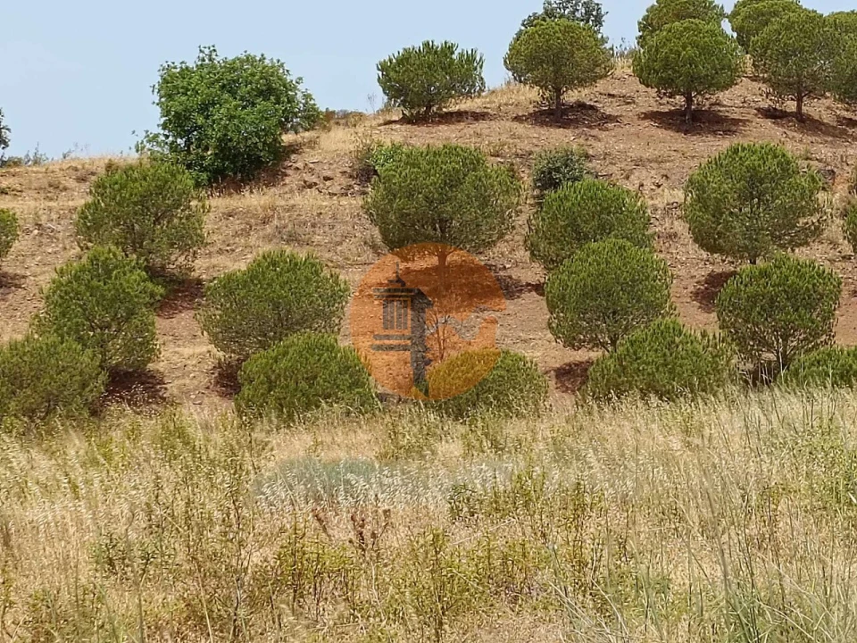 Terreno para Venda em Castro Marim Foto 17