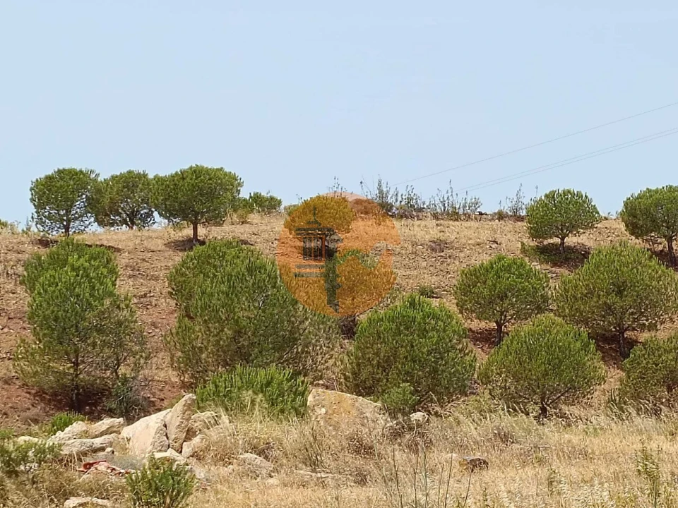 Terreno para Venda em Castro Marim Foto 19