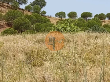 Terreno para Venda em Castro Marim