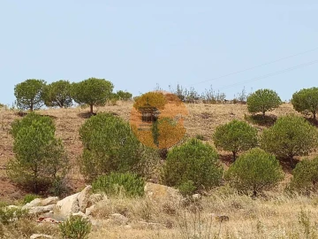 Terreno para Venda em Castro Marim
