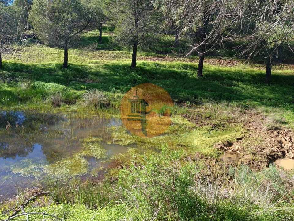 Moradia T3 para Venda em Castro Marim Foto 12