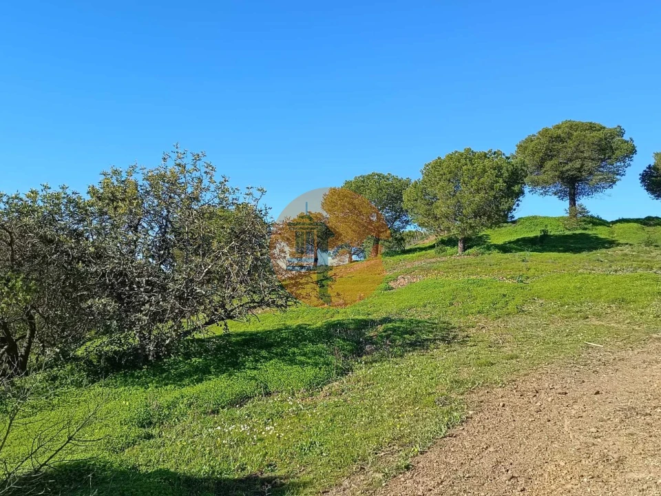 Moradia T3 para Venda em Castro Marim Foto 19
