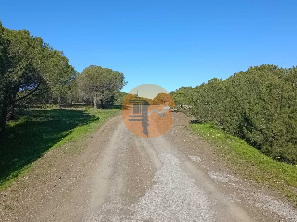 Moradia T3 para Venda em Castro Marim Foto 37