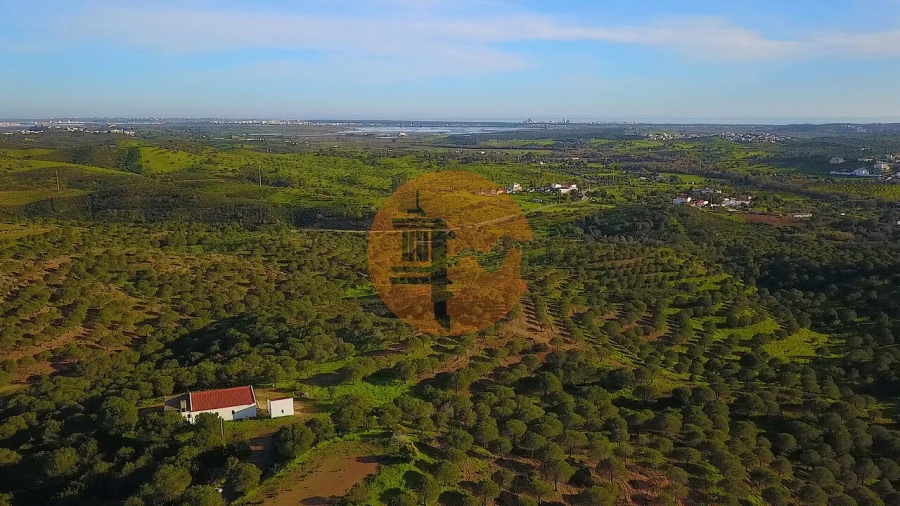 Moradia T3 para Venda em Castro Marim Foto 50