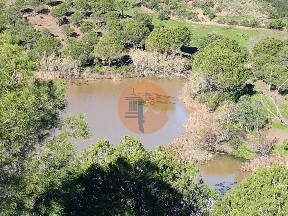 Quinta T3 para Venda em Castro Marim Foto 6