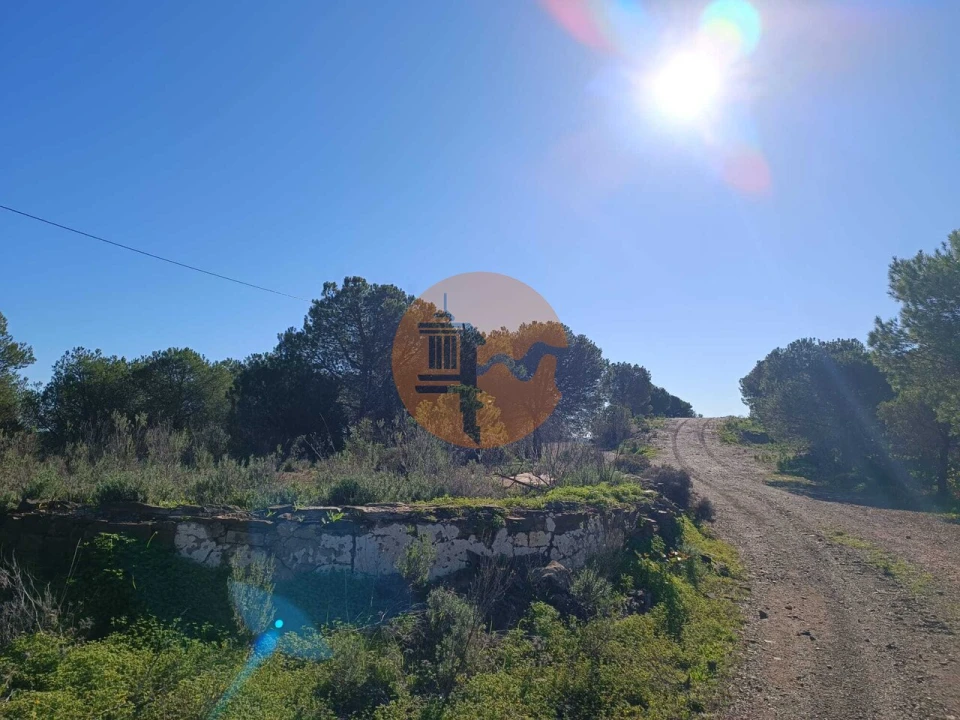 Quinta T3 para Venda em Castro Marim Foto 33