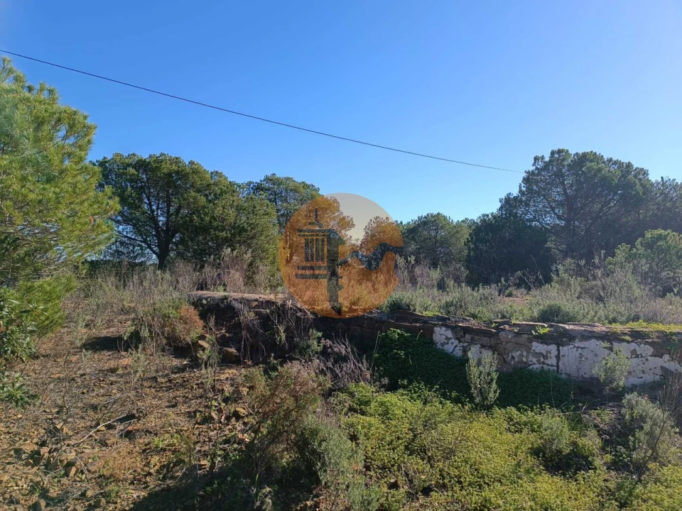 Quinta T3 para Venda em Castro Marim Foto 35