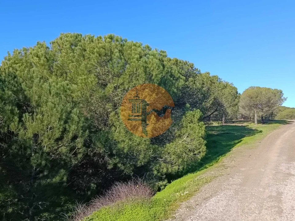 Quinta T3 para Venda em Castro Marim Foto 40