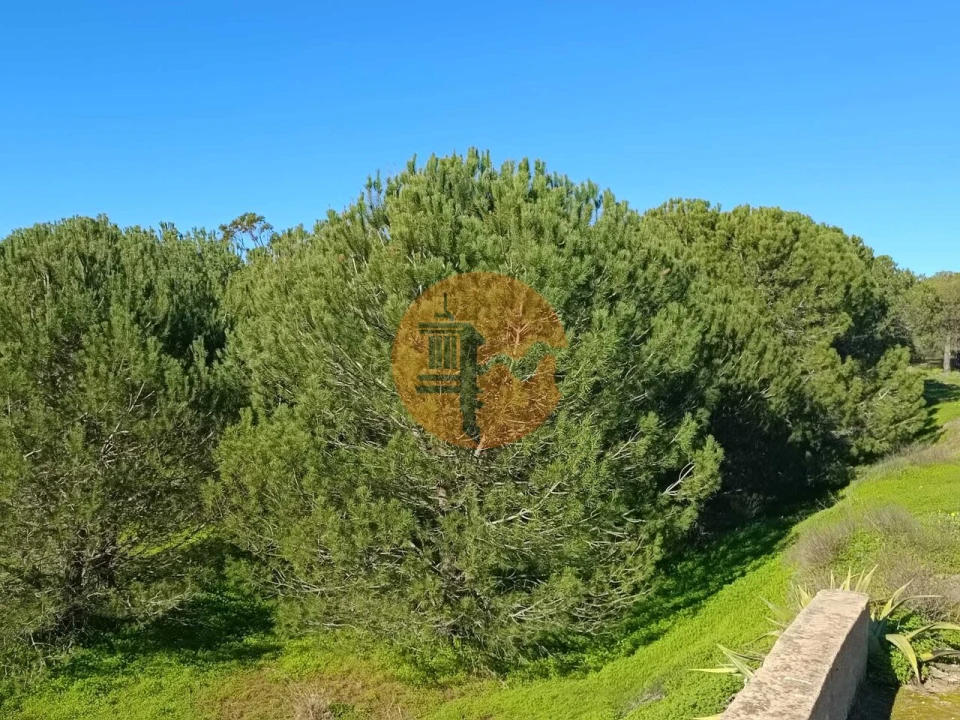 Quinta T3 para Venda em Castro Marim Foto 46