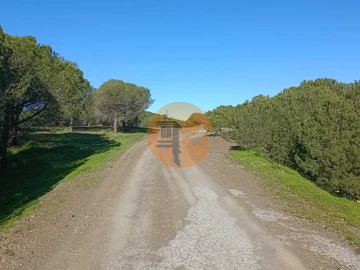 Quinta T3 para Venda em Castro Marim
