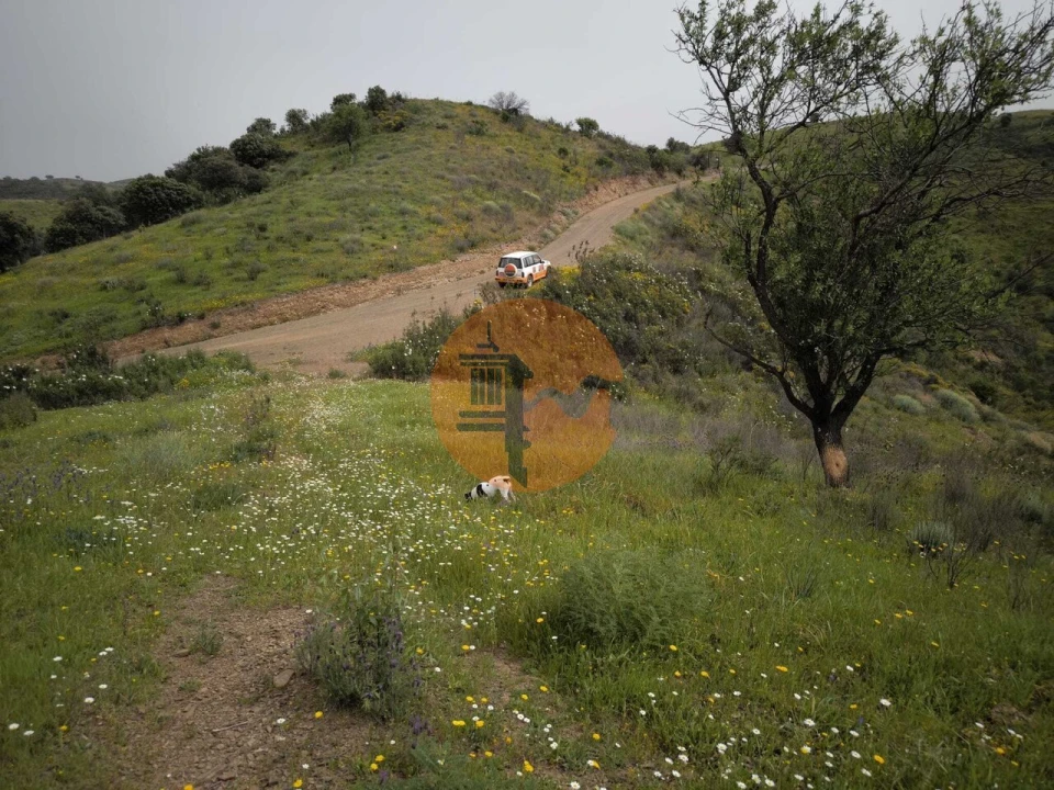 Terreno para Venda em Castro Marim Foto 10