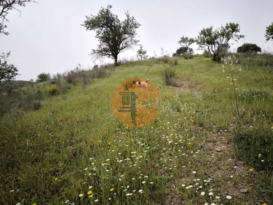 Terreno para Venda em Castro Marim Foto 11