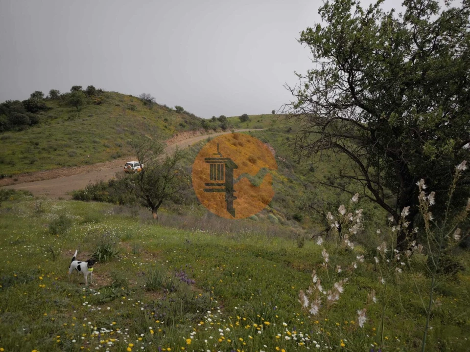 Terreno para Venda em Castro Marim Foto 26