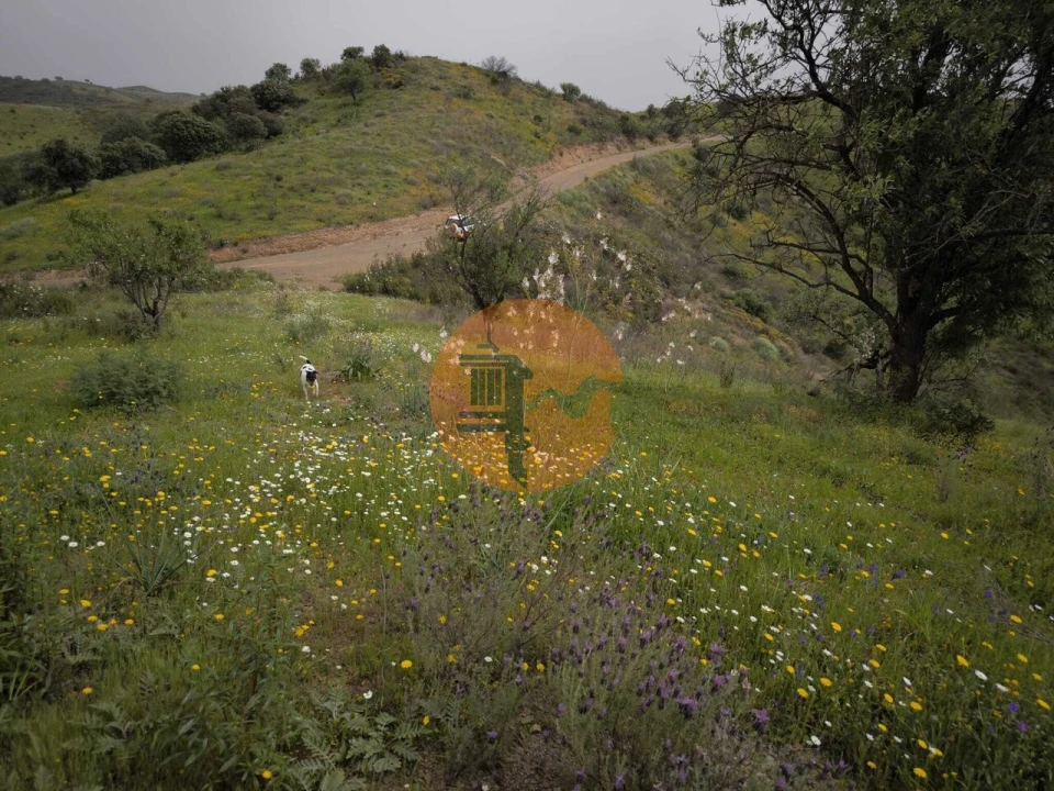 Terreno para Venda em Castro Marim Foto 32