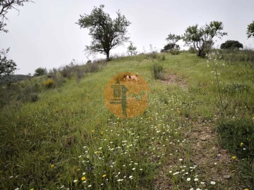 Terreno para Venda em Castro Marim