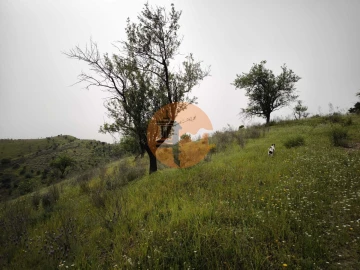 Terreno para Venda em Castro Marim