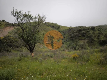 Terreno para Venda em Castro Marim