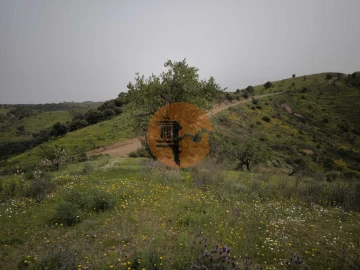Terreno para Venda em Castro Marim